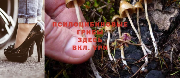 прущая мука Баксан