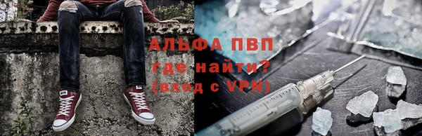 ГАЛЛЮЦИНОГЕННЫЕ ГРИБЫ Балабаново