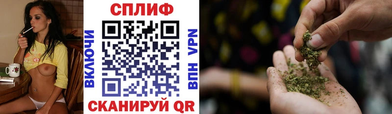 Канабис планчик  Гаджиево 