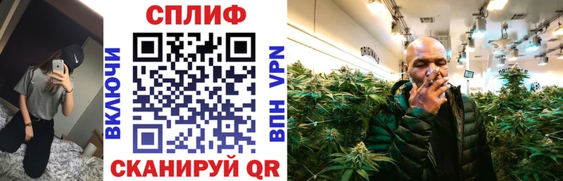 Конопля планчик Гаджиево